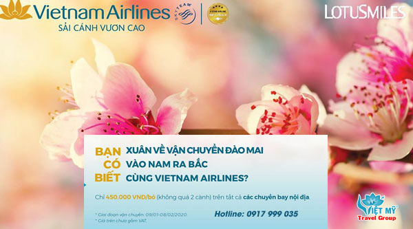 Vietnam Airlines nhận vận chuyển đào, mai đón Tết Canh Tý 2020