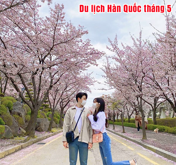 Các địa điểm du lịch nổi tiếng tại Hàn Quốc tháng 5