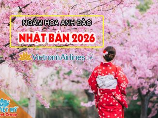 Dự báo lịch hoa anh đào Nhật Bản 2026 chi tiết từng thành phố