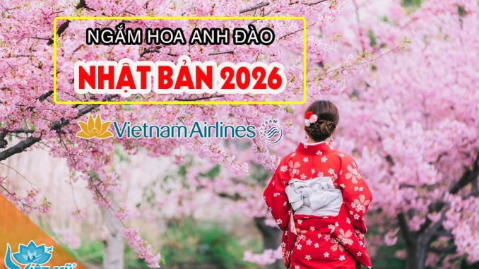 Dự báo lịch hoa anh đào Nhật Bản 2026 chi tiết từng thành phố