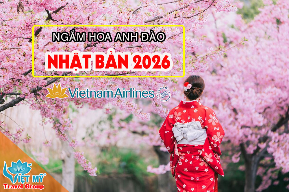 Dự báo lịch hoa anh đào Nhật Bản 2026 chi tiết từng thành phố