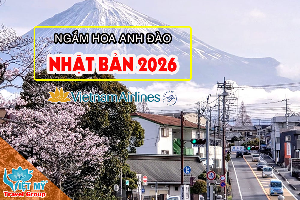 Dự báo lịch hoa anh đào Nhật Bản 2026 chi tiết từng thành phố