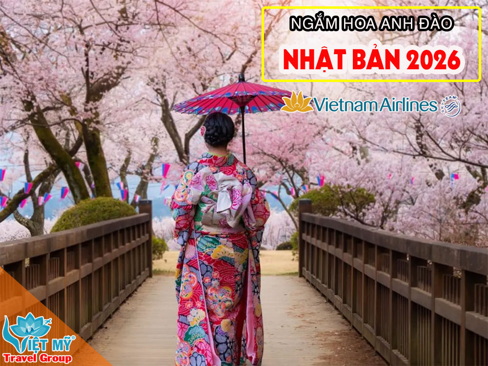 Dự báo lịch hoa anh đào Nhật Bản 2026 chi tiết từng thành phố