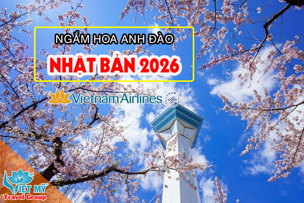 Dự báo lịch hoa anh đào Nhật Bản 2026 chi tiết từng thành phố