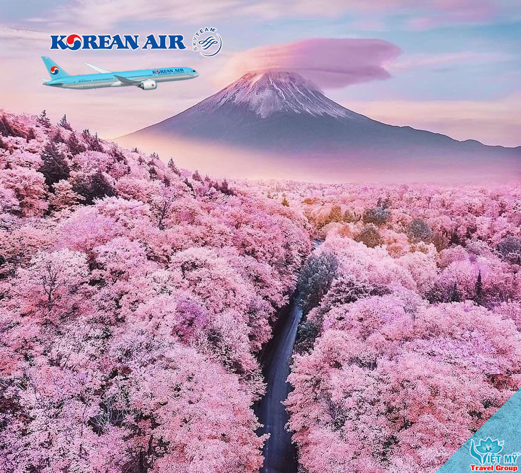 Korean Air giảm 10% giá vé đi Hàn Quốc, Nhật Bản 