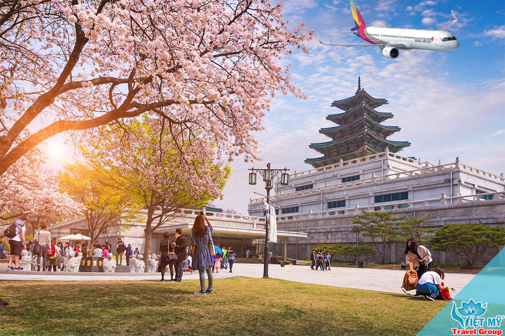 Asiana Airlines triển khai HOT SUMMER 2026 giảm 10% vé đi Hàn Quốc