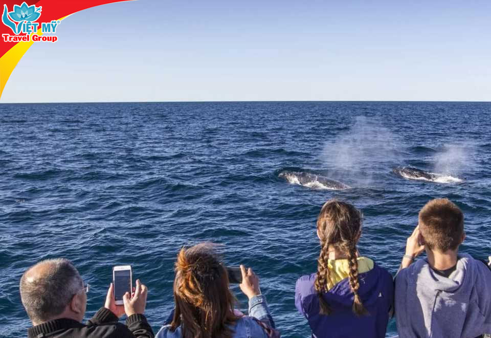 Bay Úc mùa đông cùng Vietjet - GIẢM 20% giá vé quốc tế