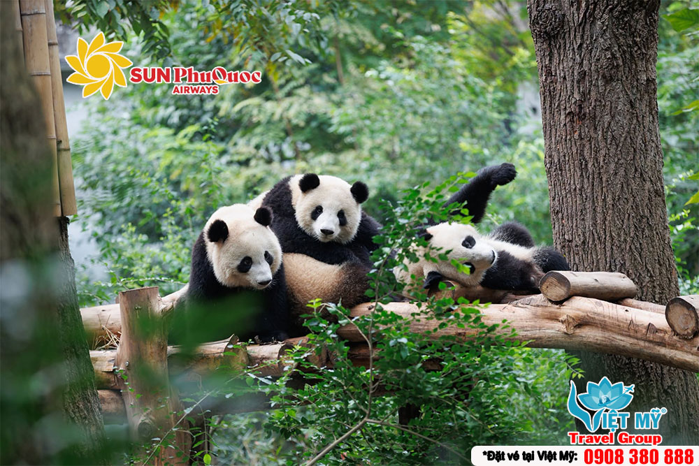 Sun PhuQuoc Airways mở bán đường bay mới đến Thành Đô