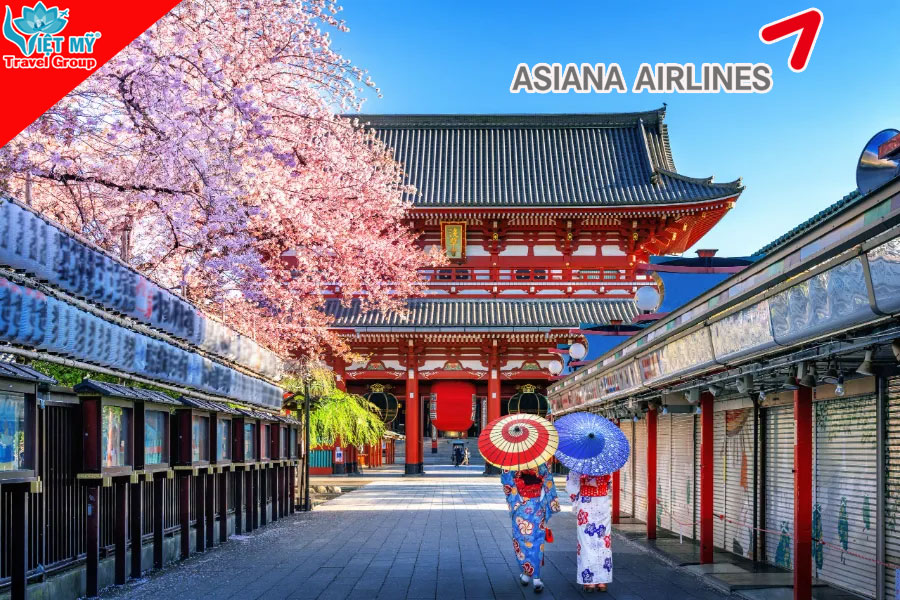 Cơ hội vàng săn vé Asiana Airlines đi Hàn Quốc, Nhật Bản và Mỹ!