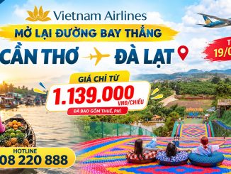 Vietnam Airlines mở lại đường bay thẳng Cần Thơ - Đà Lạt từ 19/08/2026, giá chỉ từ 1.139.000 VNĐ
